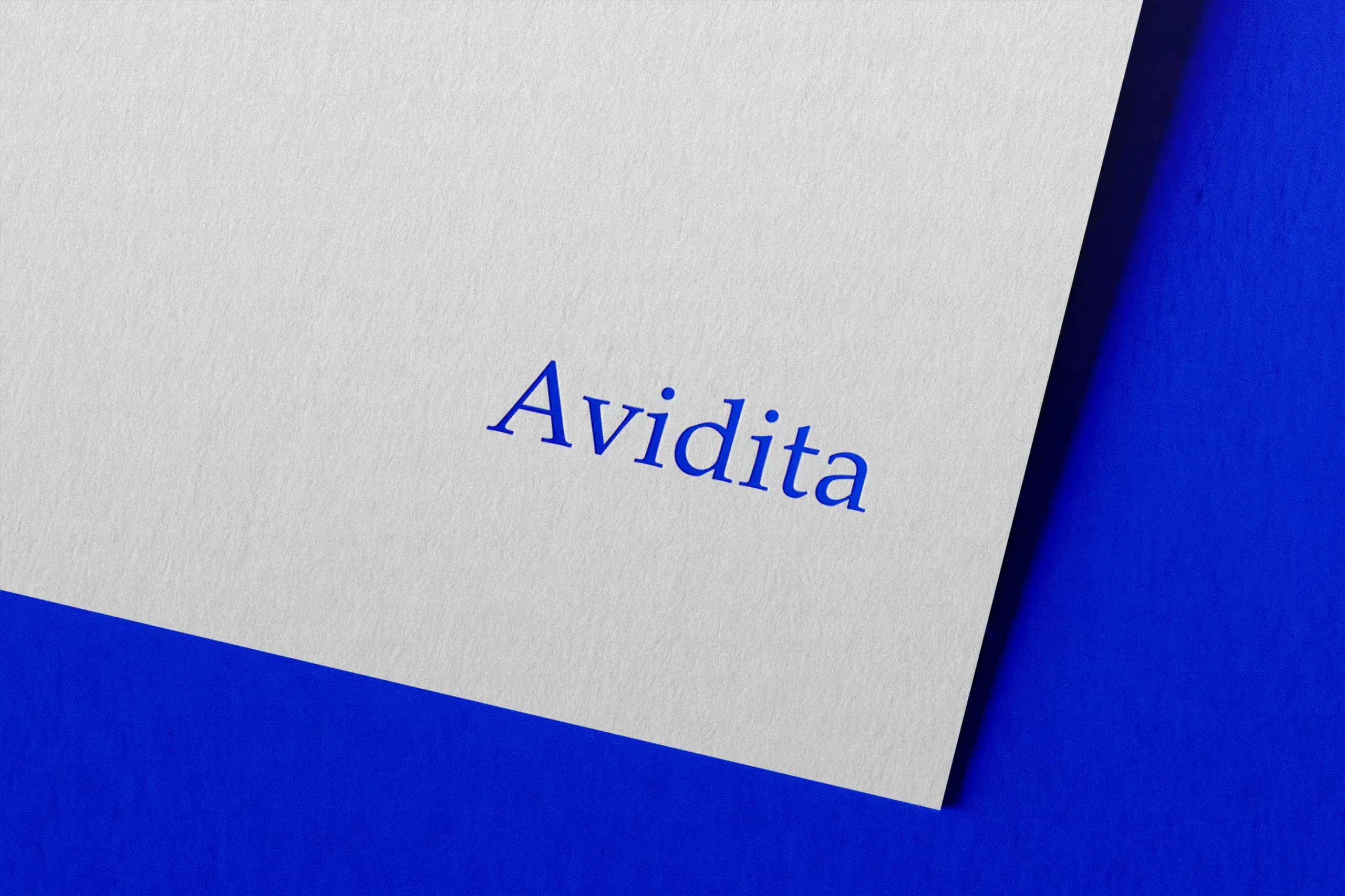 avidita logo avidita logo