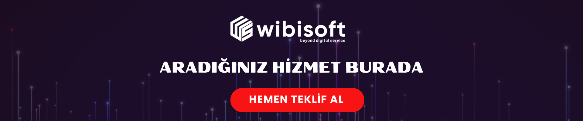 Wibisoft 1